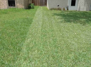 Rylee H.'s Lawn Service service result