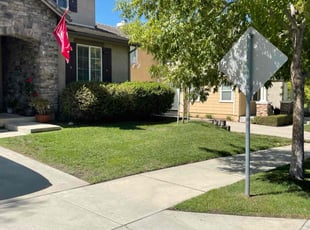 Mark A.'s Lawn Mowing service result