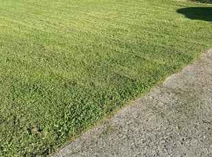Matt P.'s Lawn Service service result