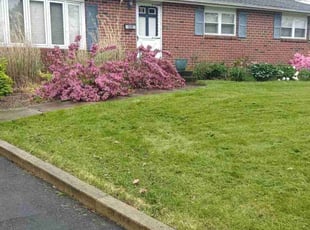 Amber H.'s Lawn Maintenance service result