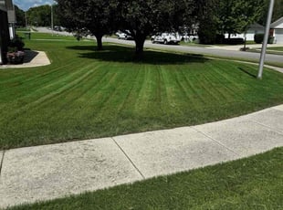 Joseph E.'s Lawn Mowing Service service result