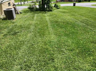 Randy V.'s Lawn Mowing Service service result