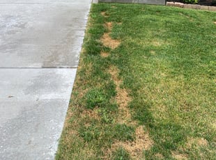Landscaping by Dustin Schindler for DeAnna P. in Colorado Springs, CO