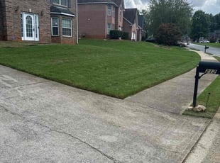 Kevin B.'s Grass Cutting service result