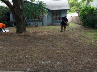 Leaf Removal by Willie Carmichael for Harry O. in Orlando, FL