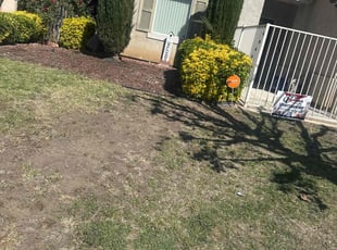 Weeding by Jose Olivares for Cristina M. in Lancaster, CA