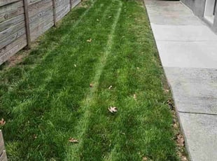 Yvonne m.'s Lawn Maintenance service result