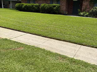Lori M.'s Lawn Mowing service result