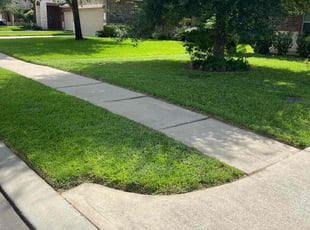 Jason H.'s Lawn Mowing Service service result
