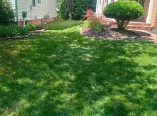Matt C.'s Lawn Care service result
