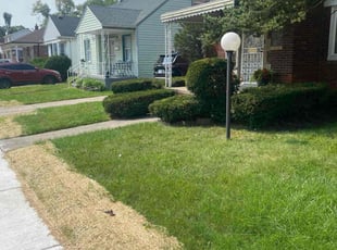 Jane S.'s Grass Cutting service result