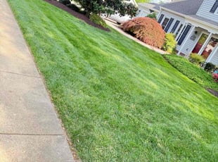 Laura G.'s Yard Cutting service result