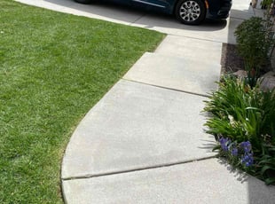 Sadikin B.'s Lawn Mowing service result