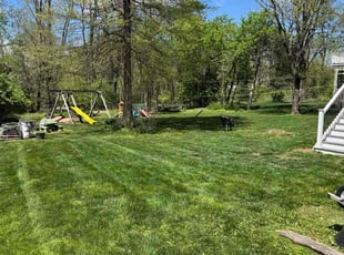 Ebony H.'s Grass Cutting service result