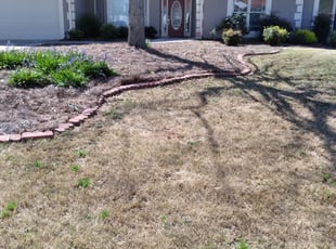 Leaf Removal by Quintauris Ashmon for Kelly S. in Covington, GA