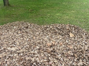 Cleanups by Kevrek Frierson for Stacey H. in Murfreesboro, TN
