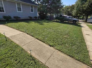 Tina C.'s Lawn Mowing Service service result
