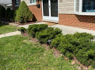 Bush Trimming by David Scalf for Megan D. in Warren, MI