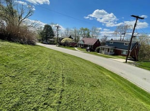 Adam H.'s Lawn Care service result