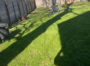 Trisha A.'s Lawn Service service result