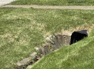 Jim H.'s Lawn Care service result