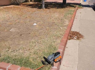Bush Trimming by Chris Hawk for Robert K. in Phoenix, AZ