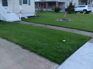Angelic R.'s Lawn Care service result