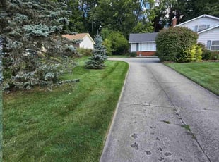 Lelenya K.'s Lawn Service service result