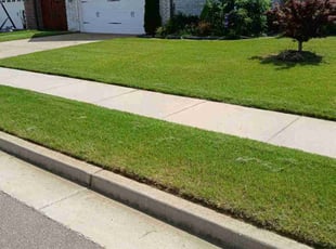 Jason J.'s Grass Cutting service result