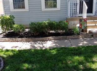 Bush Trimming by Mark Burke for Lauren M. in Bristow, VA