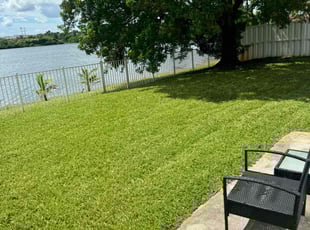 Kristin C.'s Grass Cutting service result