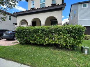 Bush Trimming by Buck Robinson for sam l. in Windermere, FL