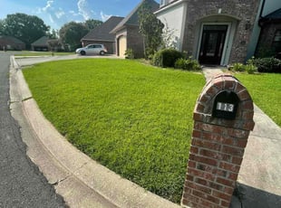 Volomi G.'s Lawn Mowing Service service result