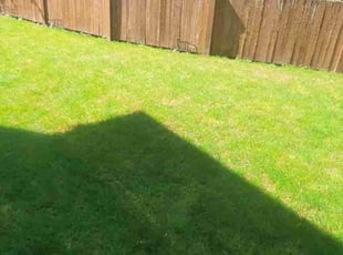 Terri E.'s Lawn Service service result