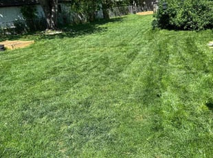 Paula R.'s Lawn Maintenance service result