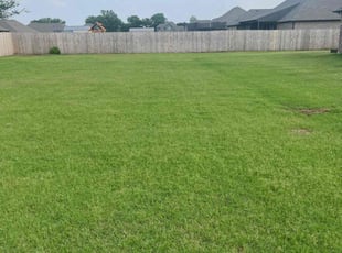 RaNisha S.'s Lawn Mowing service result