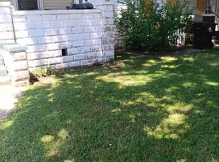 Hope D.'s Lawn Mowing Service service result