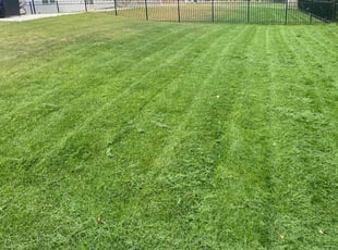 Shannon B.'s Lawn Service service result