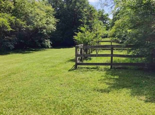 Dooki L.'s Lawn Mowing service result