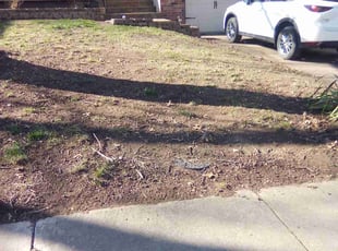 Leaf Removal by KK Green Grass for Diana B. in Olathe, KS