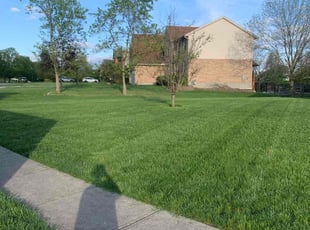 Stephanie S.'s Lawn Service service result