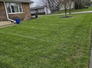 Eric H.'s Yard Cutting service result