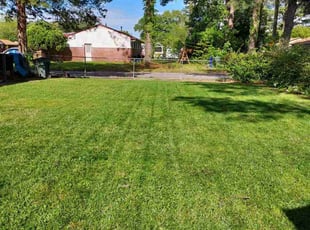 Kim J.'s Grass Cutting service result