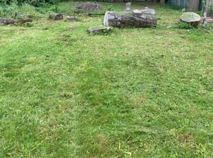 Cleanups by Danielle Osullivan for Ian I. in New Haven, CT