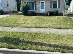 Laverne M.'s Yard Cutting service result