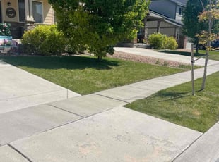 Richard J.'s Lawn Mowing service result