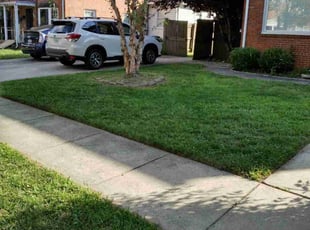 Kelly H.'s Lawn Mowing service result