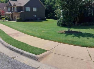 Wachira R.'s Yard Cutting service result