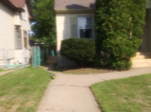 Bush Trimming by David Gallaway for Vicky W. in Saint Paul, MN