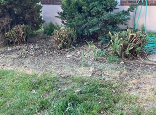 Bush Trimming by Tim Kirkpatrick for Morgan E. in Lee's Summit, MO